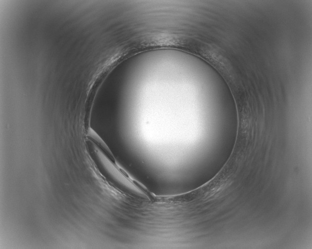 X0000053120394200507251729