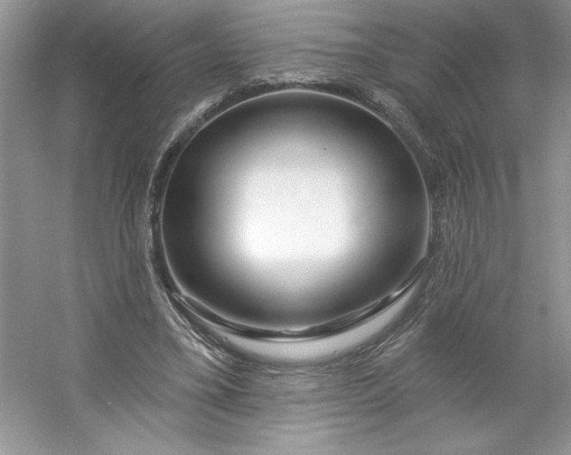 X0000053120395200507251729