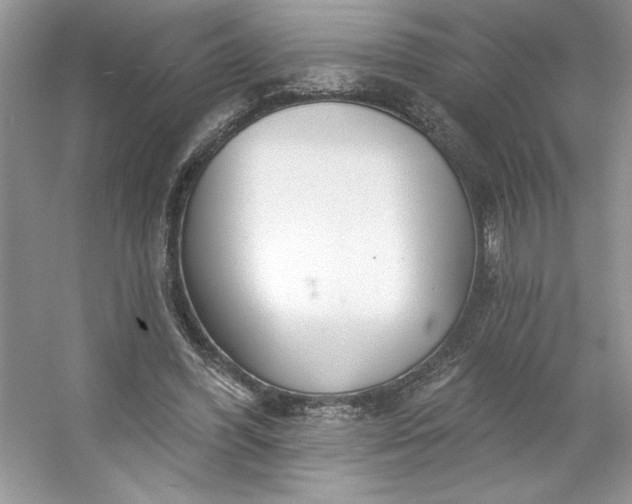 X0000053120396200507251729