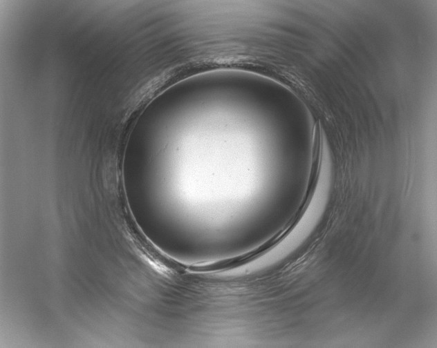 X0000053120397200507251729