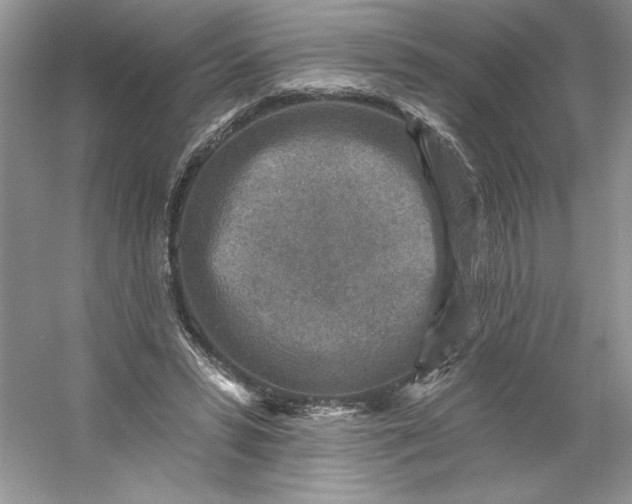 X0000053120399200507251728