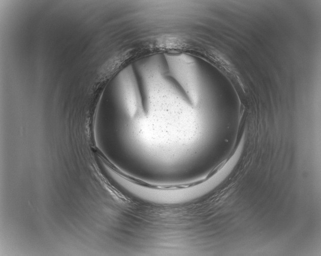 X0000053120401200507251728