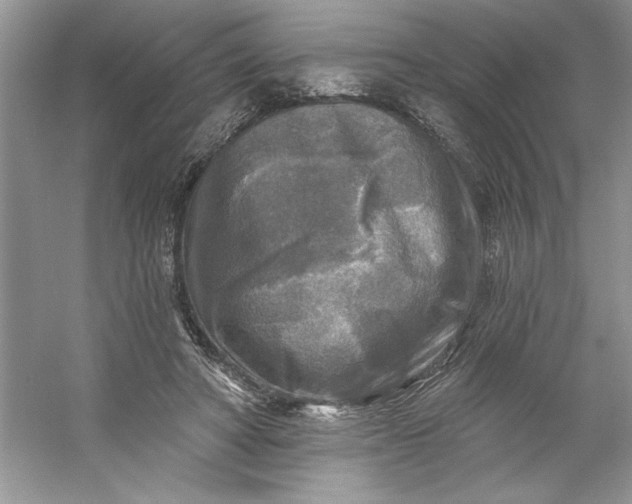 X0000053120402200507251728