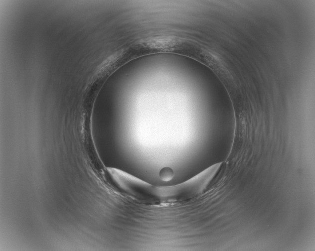 X0000053120404200507251728