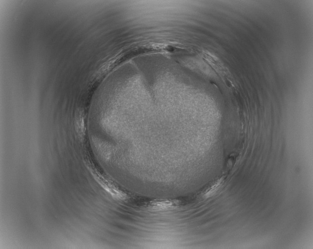 X0000053120405200507251728