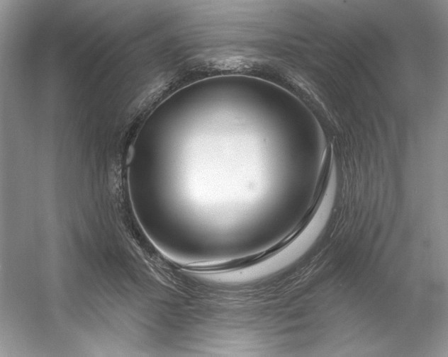 X0000053120407200507251728