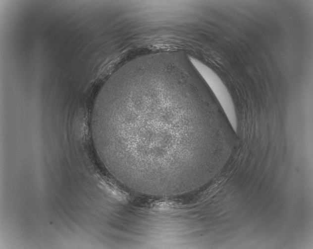 X0000053120408200507251728