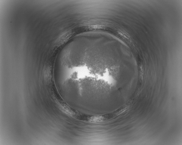 X0000053120410200507251728