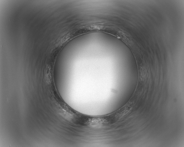 X0000053120414200507251728