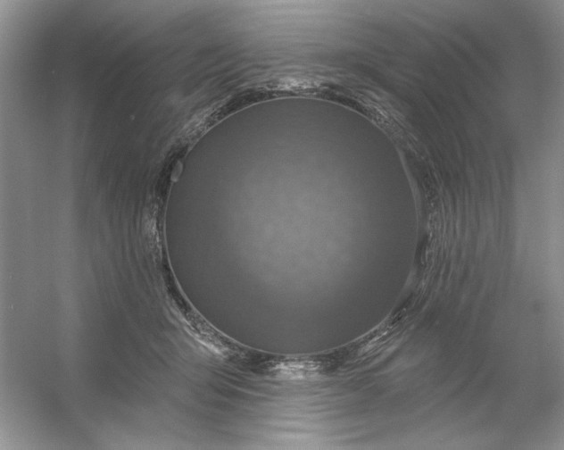 X0000053120415200507251728