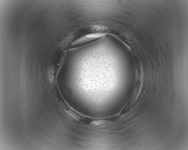 X0000053120417200507251728