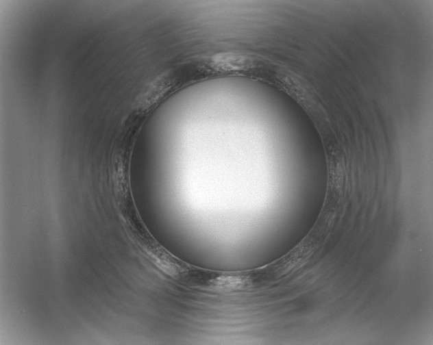 X0000053120418200507251728