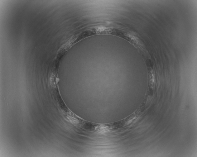 X0000053120419200507251728