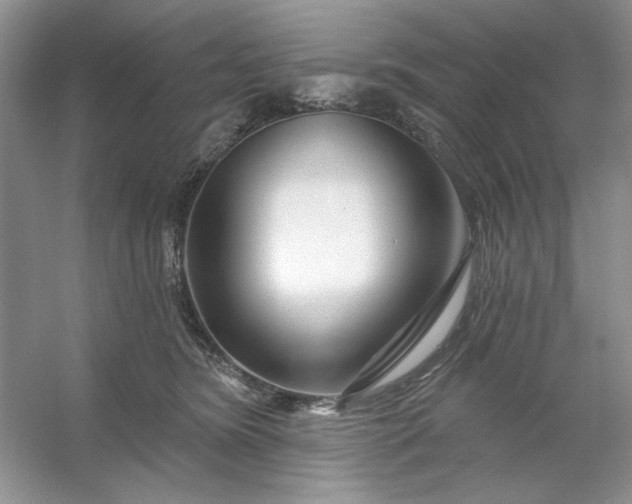 X0000053120420200507251728