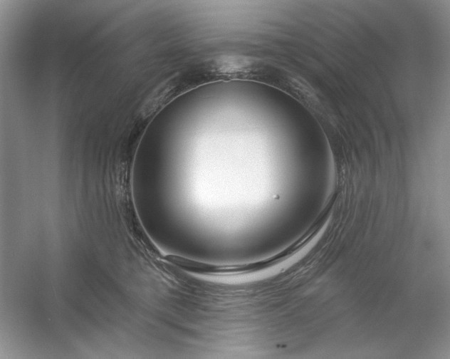 X0000053120421200507251728