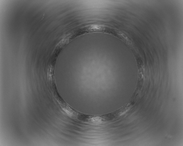 X0000053120423200507251728