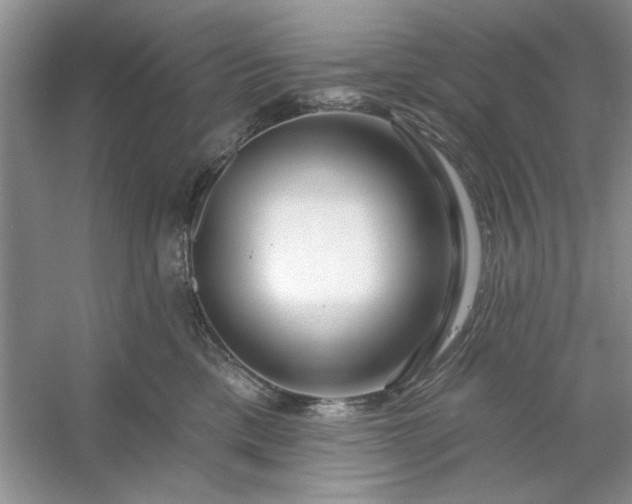 X0000053120425200507251728