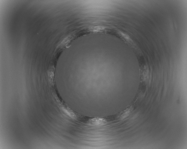 X0000053120427200507251728