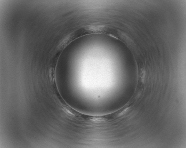 X0000053120428200507251728