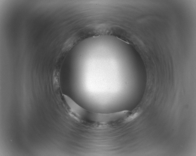 X0000053120432200507251728