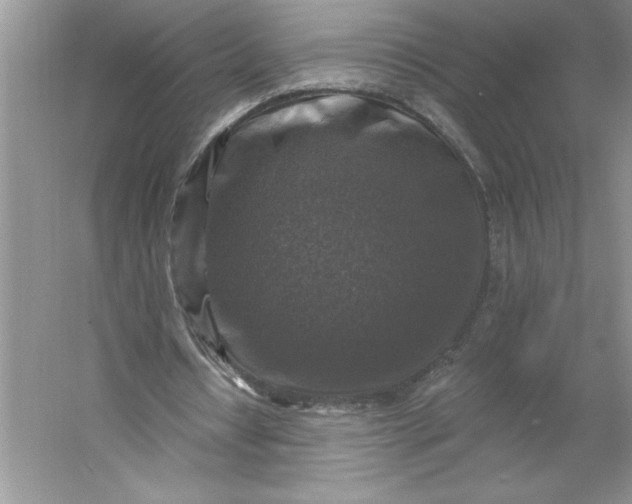 X0000053120434200507251727