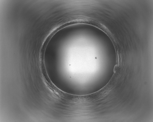 X0000053120435200507251727