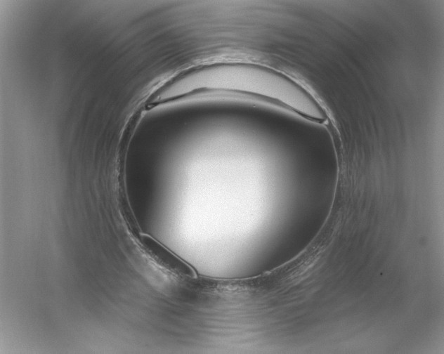 X0000053120437200507251727