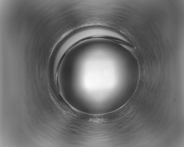 X0000053120440200507251727