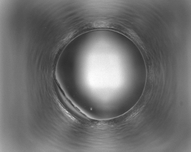 X0000053120441200507251727