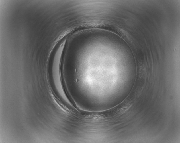 X0000053120443200507251727