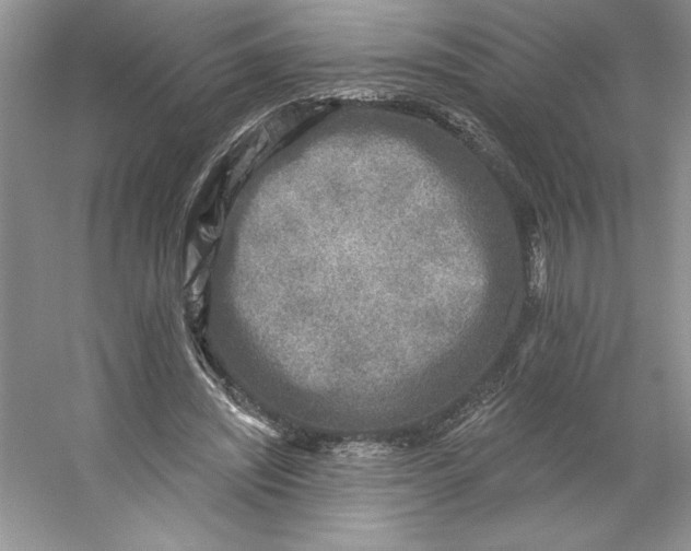 X0000053120444200507251727