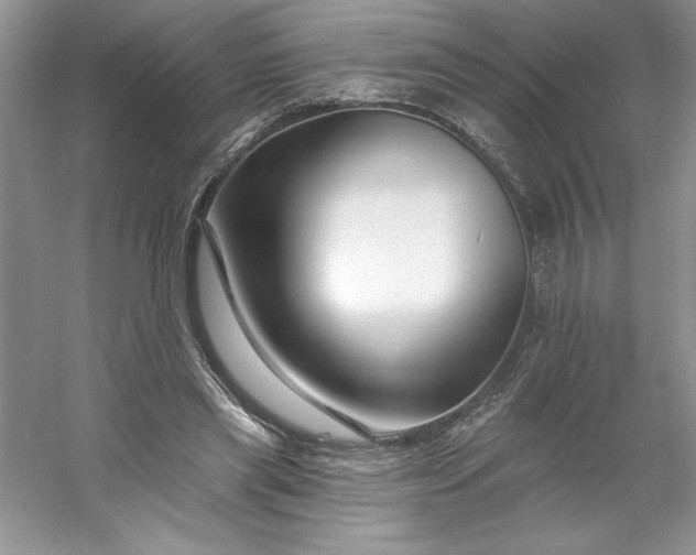 X0000053120445200507251727