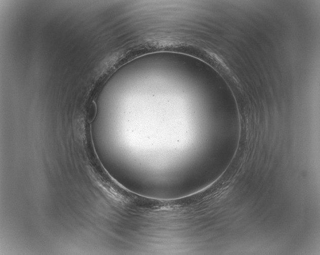 X0000053120447200507251727