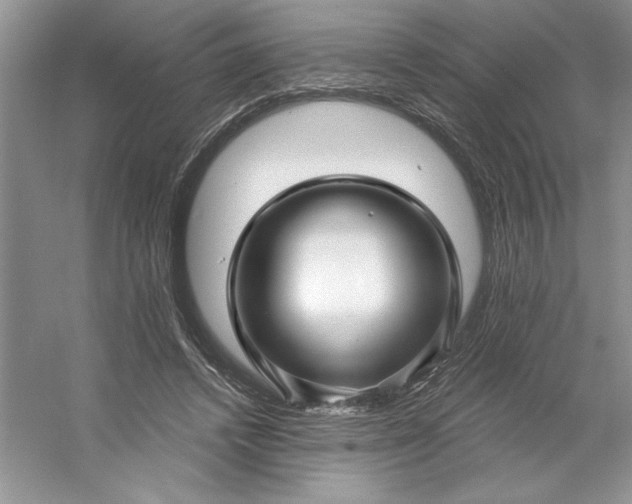 X0000053120448200507251727