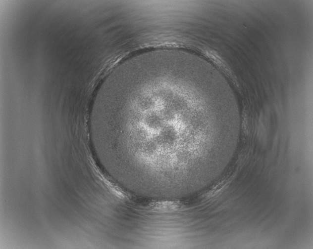 X0000053120449200507251727