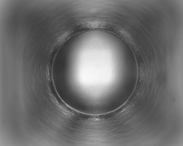 X0000053120453200507251727