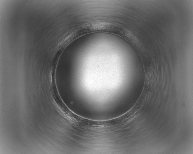 X0000053120454200507251727