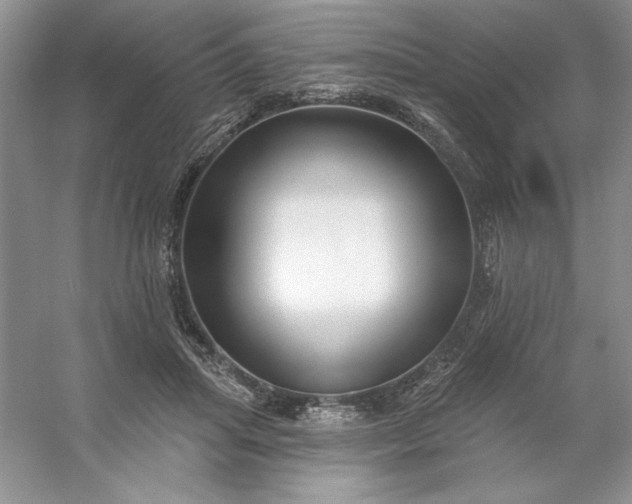 X0000053120455200507251727