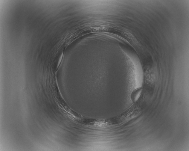 X0000053120458200507251728