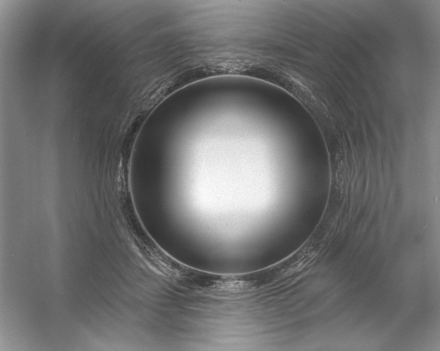 X0000053120459200507251728