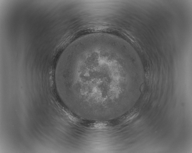 X0000053120462200507251728