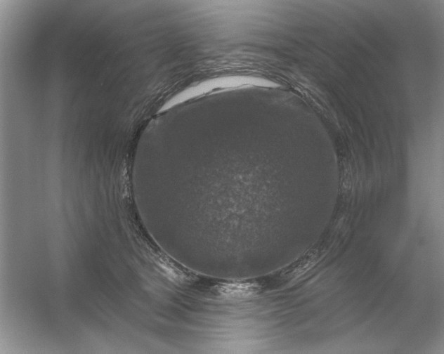 X0000053120465200507251728