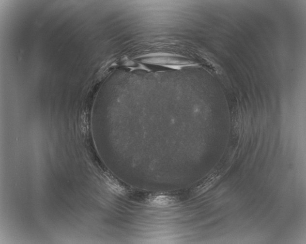 X0000053120467200507251728