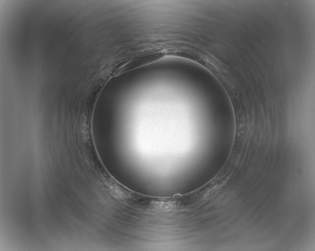 X0000053120469200507251728