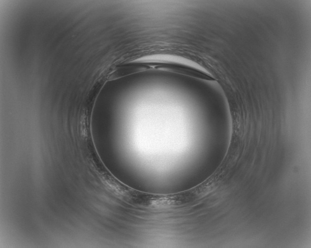 X0000053120470200507251728