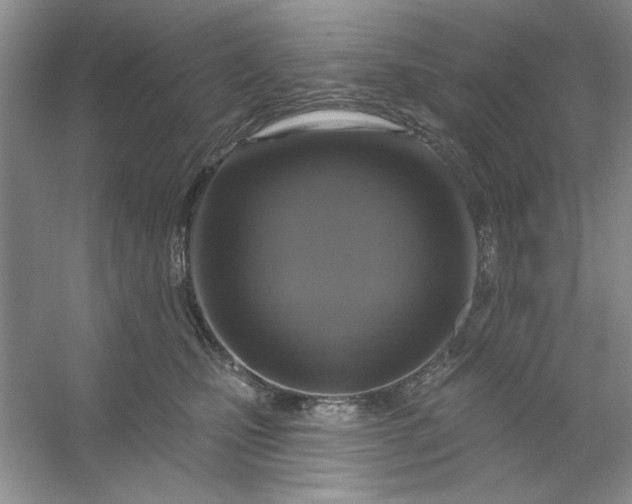 X0000053120471200507251728