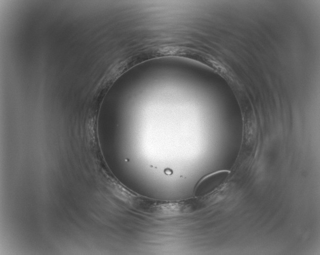 X0000053120473200507251728