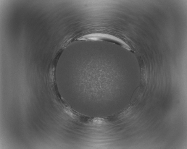 X0000053120475200507251728