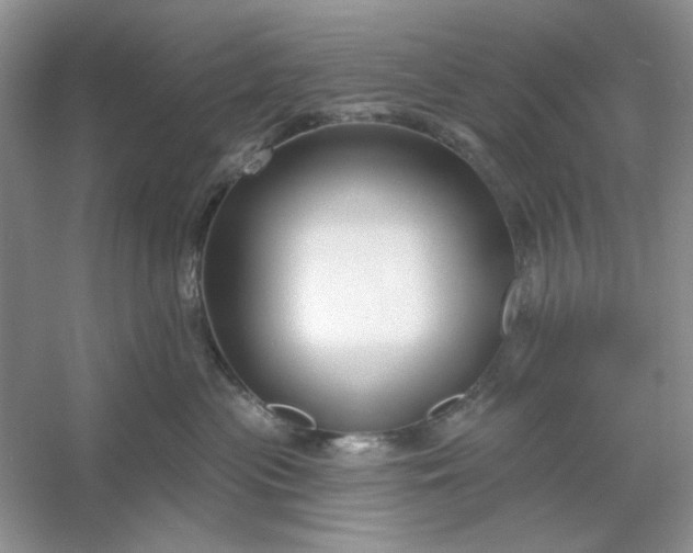 X0000053120477200507251728