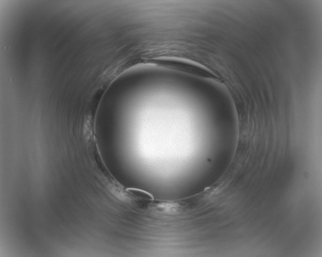 X0000053120478200507251728